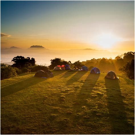 Dairy Flat Camping Ground