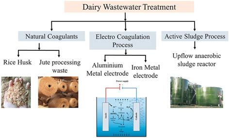 Dairy Flat Waste Management