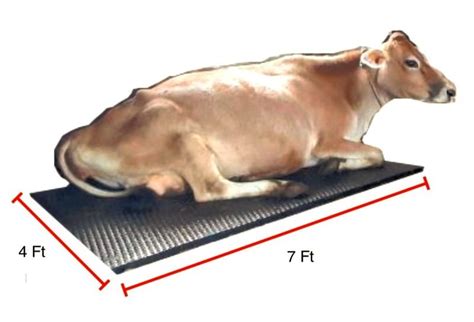 dairy floor mats