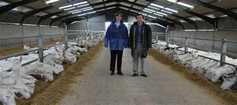 dairy goat farms uk