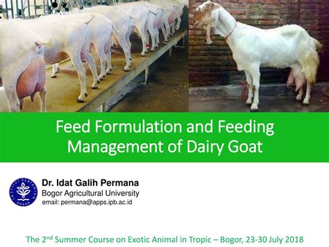 Dairy Goat Feeding Program