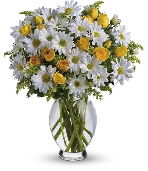 Daisies Arrangements