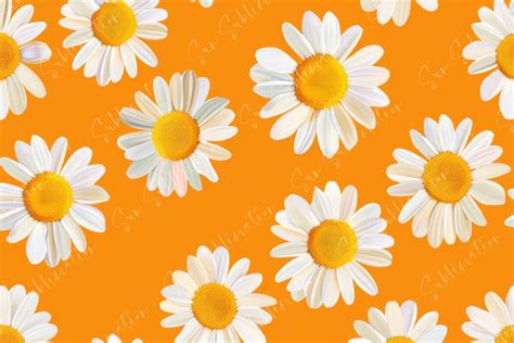 Daisies On Orange Background