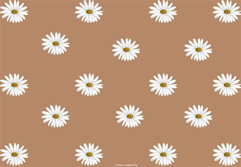 Daisy Background Brown