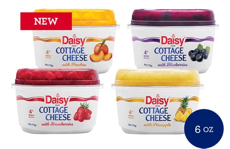 Daisy Cottage Cheese
