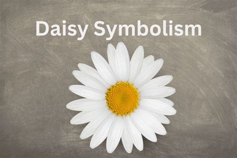 Daisy Day Meaning