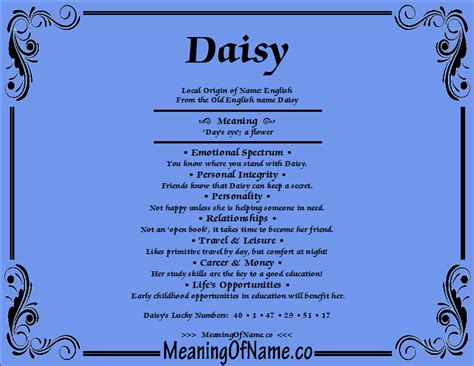 Daisy Definition Du Nom