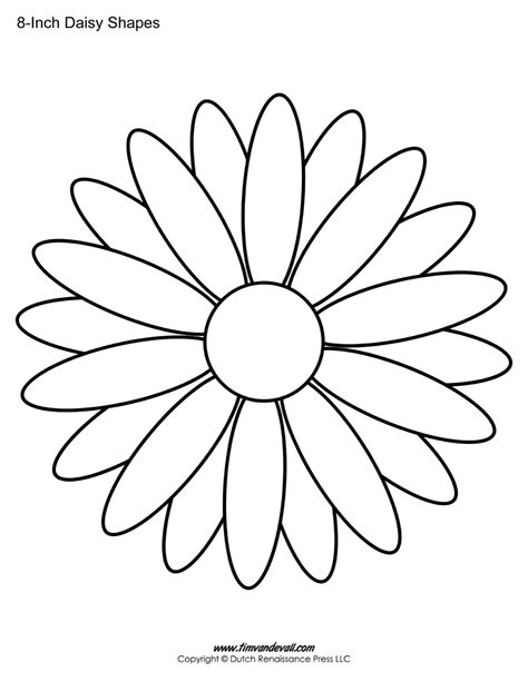 Daisy Flower Outline Template
