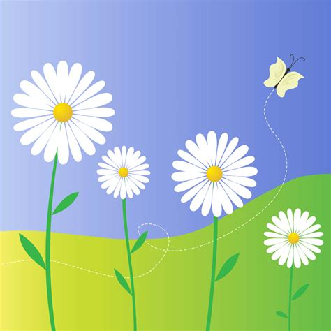 Daisy Flowers Vector
