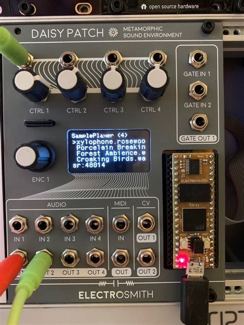 Daisy Patch Examples