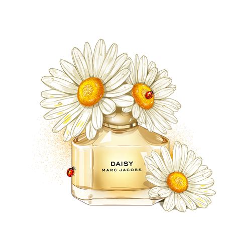 Daisy Perfume Drawing
