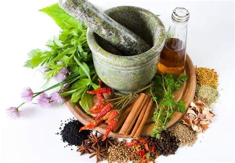 dalil yang menjelaskan tentang obat herbal