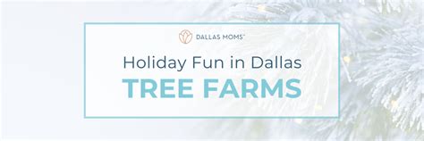 Dallas Tree Farms