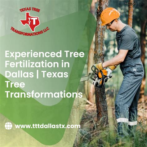 dallas tx tree services