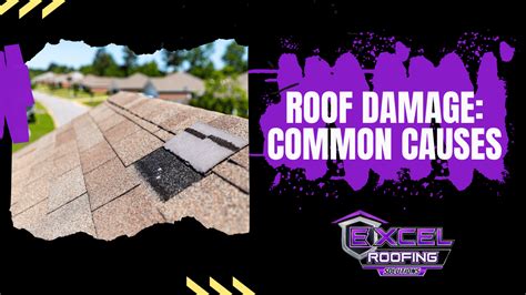 Damage the Common Good