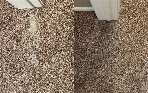 Damaged Carpet Phoenix AZ