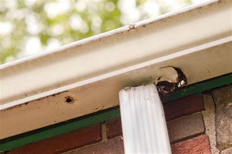 Damaged Gutter Repair Sacramento CA