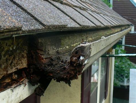 Damaged Gutter in Tampa, FL