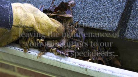 Damaged Gutters in Austin TX