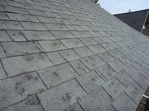 damaged roof with hail damage