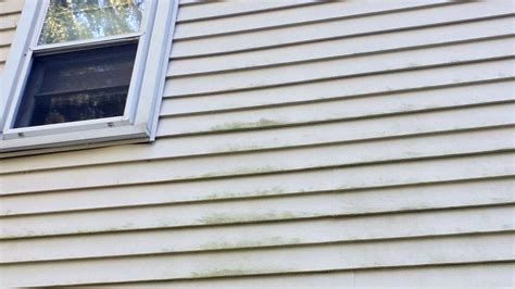 Damaged Siding in Cincinnati