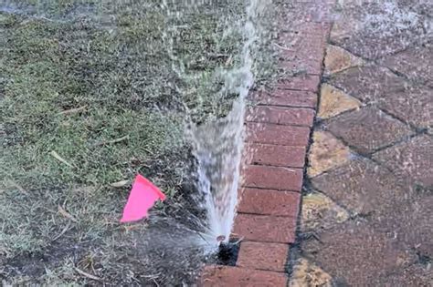 Damaged Sprinkler System