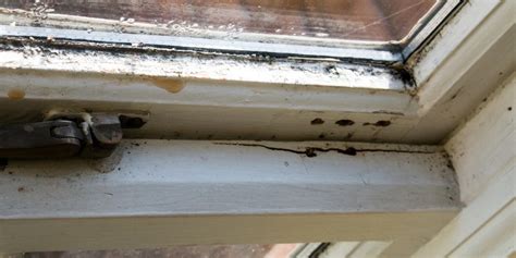 Damaged Window Frame in Fresno CA