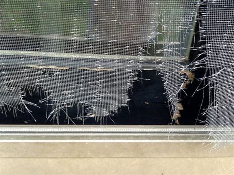 Damaged window screen repair