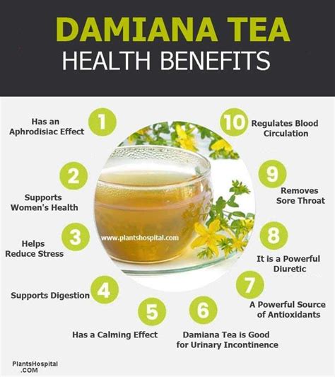 damiana tea benefits