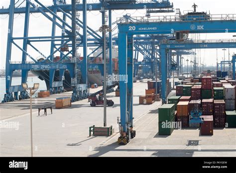 Damietta Container Terminal Egypt