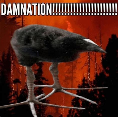 Damnation Bird