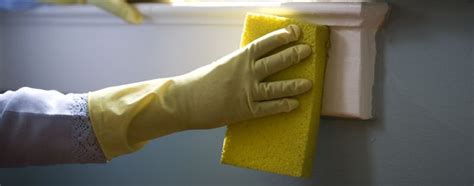 Damp Dusting Method
