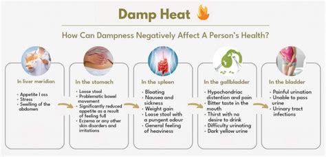 damp heat chinese medicine