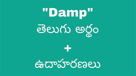 damp meaning in telugu