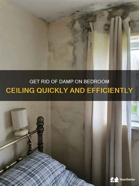 damp patch on ceiling in bedroom