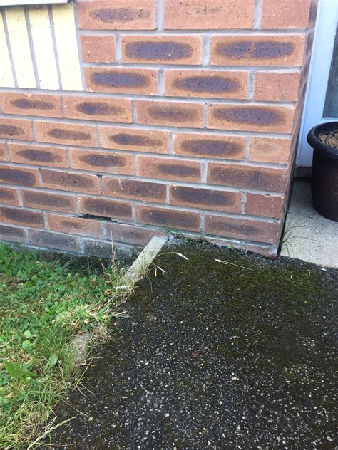 Damp Patch Translation