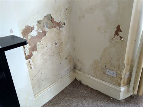 Damp Stains On Wallpaper