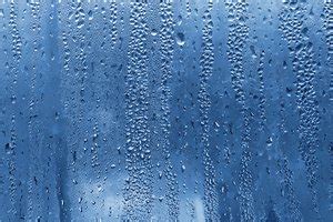 Damp Translate Spanish