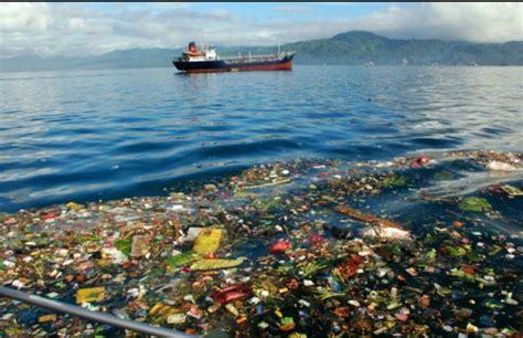dampak pembuangan limbah ke laut