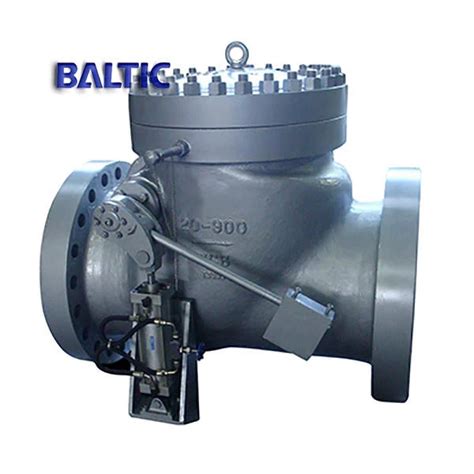 Damping Check Valve