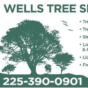 dan wells tree service