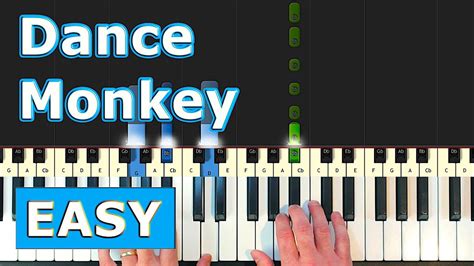 dance monkey piano lessons