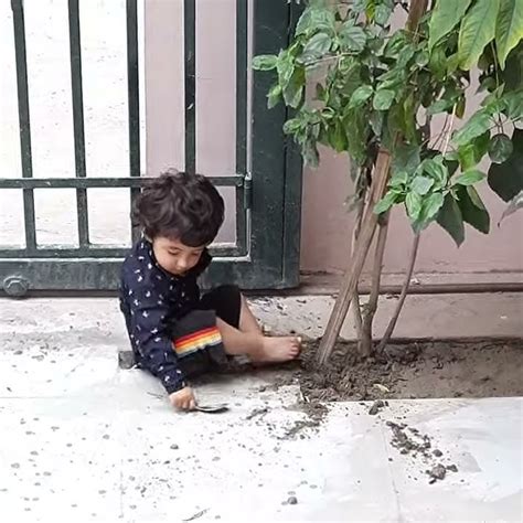 dancing gardner video