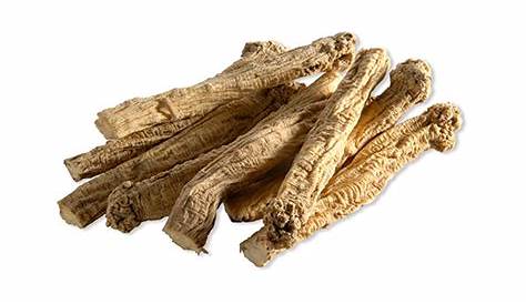 Poor Man's Ginseng or Dang Shen Herb Uses and Health Benefits