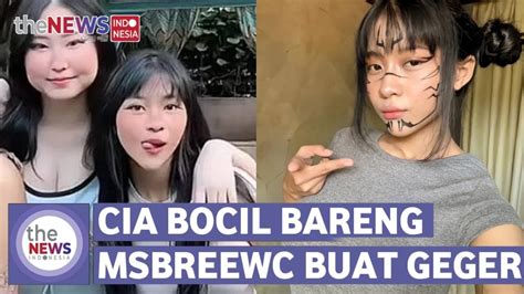 How Much Is Ino Heidis Fans Knowledge Base: Complete 2026