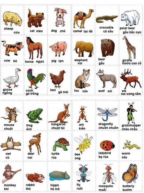 danh sách các loài động vật