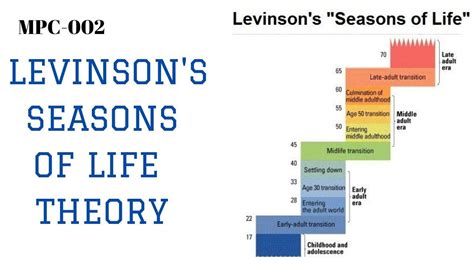 daniel levinson seasons of life theory