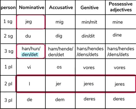 Danish Cases Grammar