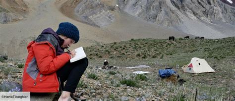 Watch Dans Les Pas De Lou Going Viral