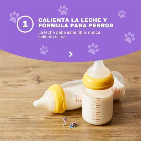 Cuáles son los tipos de leche que puede tomar un perro